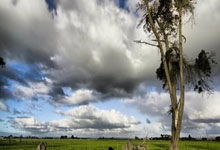 热火逆转雷霆，三双状元唐斯成悍将