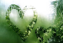 曼联客场攻陷，继续保持领先优势