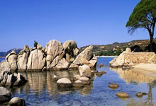 巴萨门将因伤缺席下一轮比赛